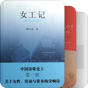 女作者写女工（非虚构类）