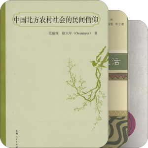 专业书籍