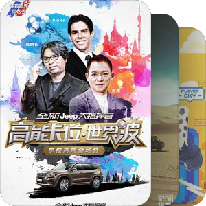 体综