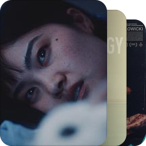 片单｜s 2025 predict