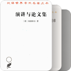 马丁•海德格尔9.6