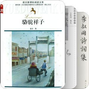 我的书（文学类）