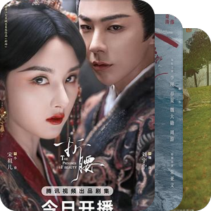 2025年国产剧集