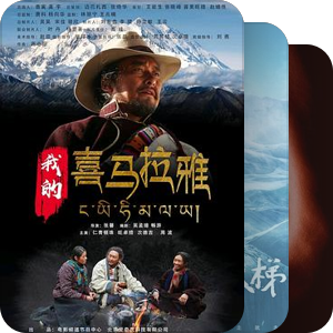 高分华人影视2010-19
