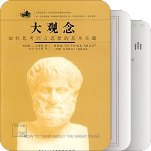 《大观念》延伸