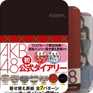 一起在追的AKB48的那些日子