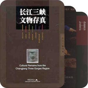假装有书柜