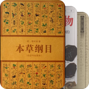 2012亚马逊图书排行