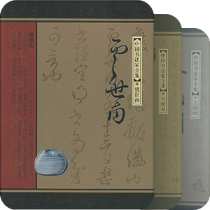 中国书法家全集
