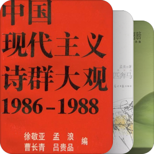 陸詩八十九十年代