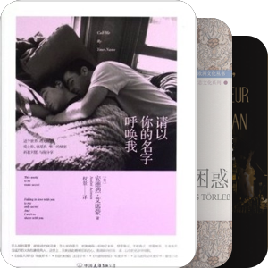 有关GAY和暧昧的外国书籍