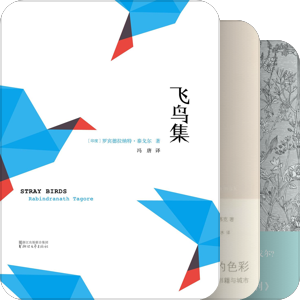 翻译毁灭书