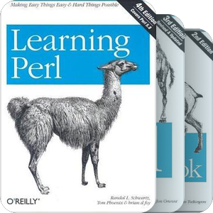 Perl Programming