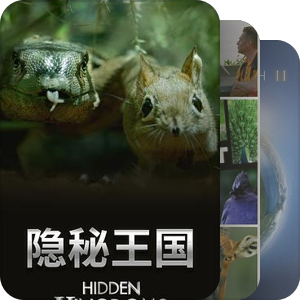 我看过的纪录片
