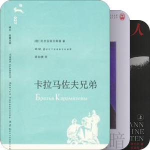 社会学著作中的小说