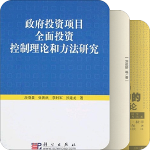 政府投资工程建设项目监管研究