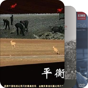 有待开光的纪录片