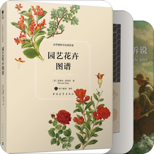 我的书籍设计