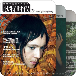 已入手引进版唱片（CD）