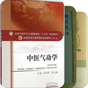武术
