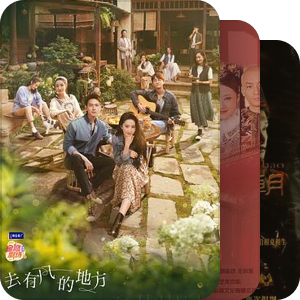 我完整看过的电视剧