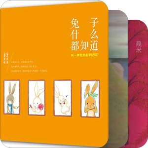 dm给大人看的漫画书