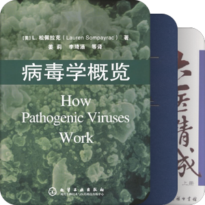 树兜