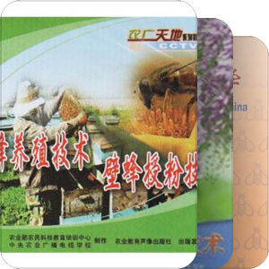 蜜蜂学