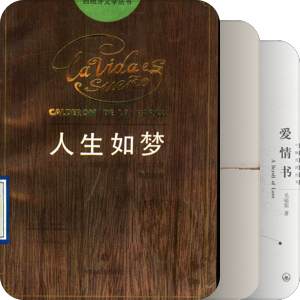 被遗忘的2016