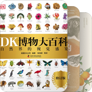 自然野趣