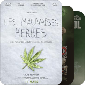 Cannabis Films 飞片2010-2016