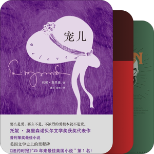 《纽约时报》25年最佳美国小说