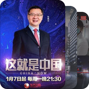 与中国和Chinese有关的纪录片