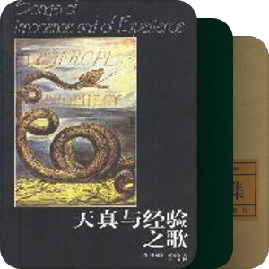 诗歌专辑3