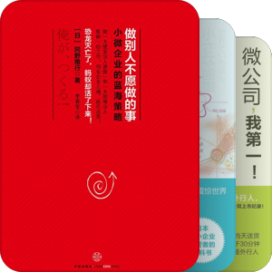小公司系列