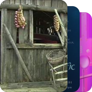 建构编码，纠缠演绎