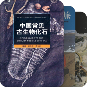 古生物学与化石