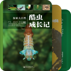 环保书籍