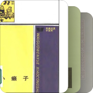 王小波推荐