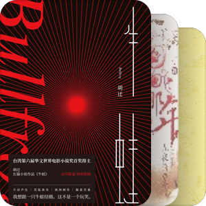 小说