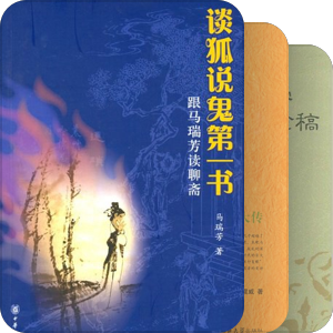 17 文学理论