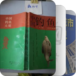 大观