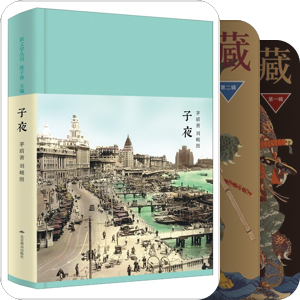 个人藏书（电视剧原著）