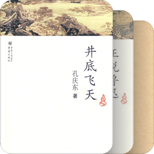 孔庆东东博书院
