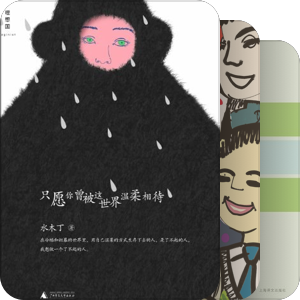 美丽的皮 (书籍)