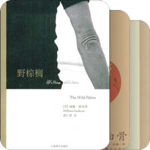 乌龟和博尔赫斯赛跑