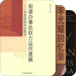 主任的书