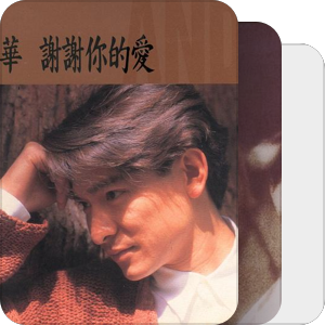 刘德华经典