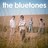 The Bluetones