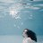 STARGAZERS | 牵星